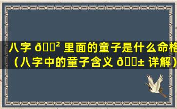 八字 🌲 里面的童子是什么命格（八字中的童子含义 🐱 详解）
